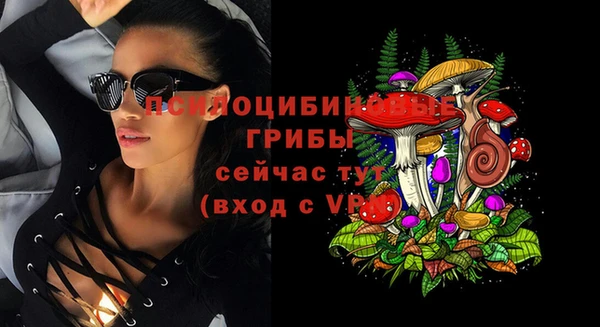 mix Зеленокумск